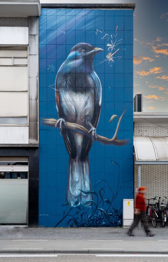 Street Art Trail - Hasselt - Collin Van Der Sluijs